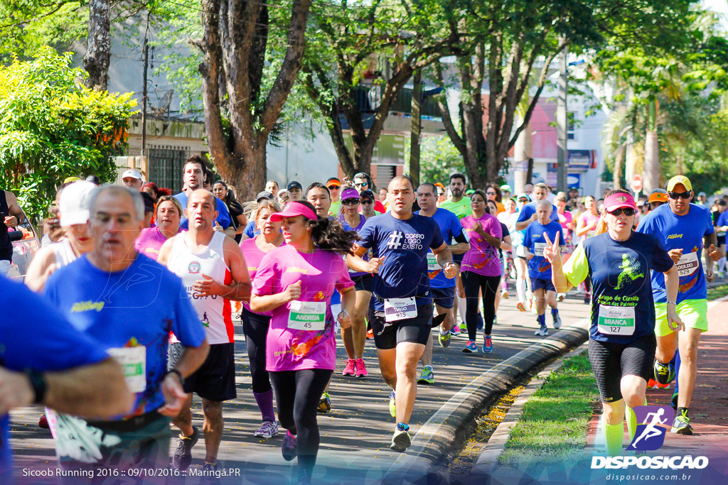 Sicoob Running: Prova Terezinha Guilhermina 2016