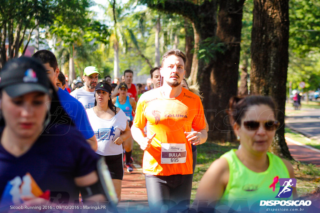 Sicoob Running: Prova Terezinha Guilhermina 2016