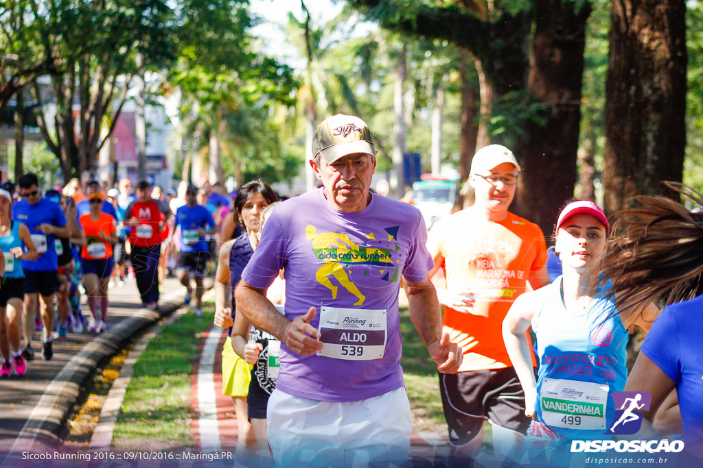 Sicoob Running: Prova Terezinha Guilhermina 2016