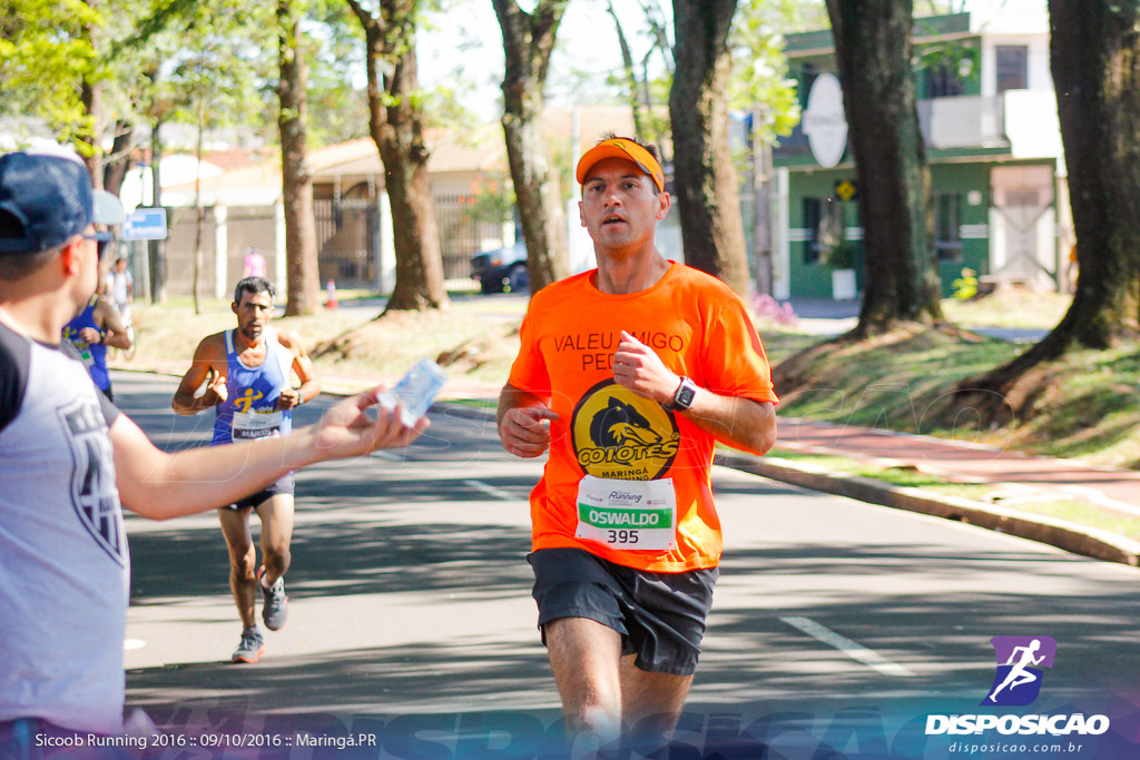 Sicoob Running: Prova Terezinha Guilhermina 2016