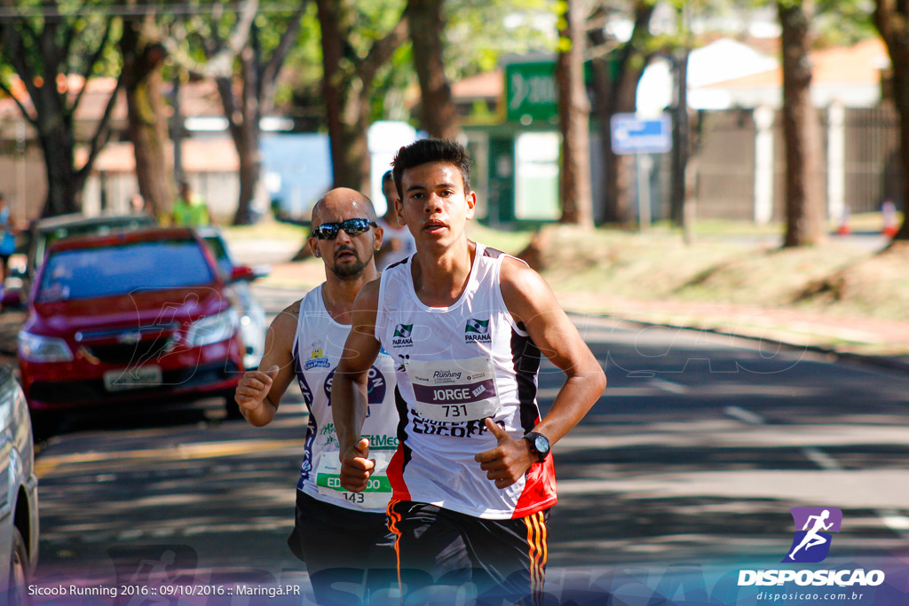 Sicoob Running: Prova Terezinha Guilhermina 2016