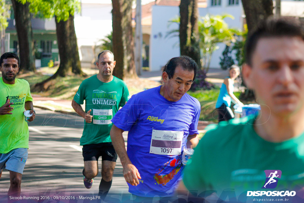 Sicoob Running: Prova Terezinha Guilhermina 2016