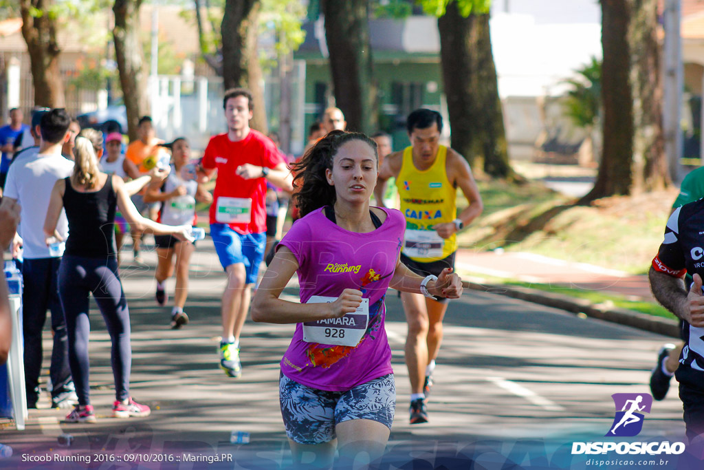 Sicoob Running: Prova Terezinha Guilhermina 2016