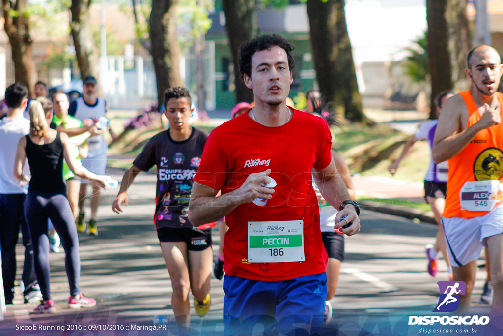 Sicoob Running: Prova Terezinha Guilhermina 2016