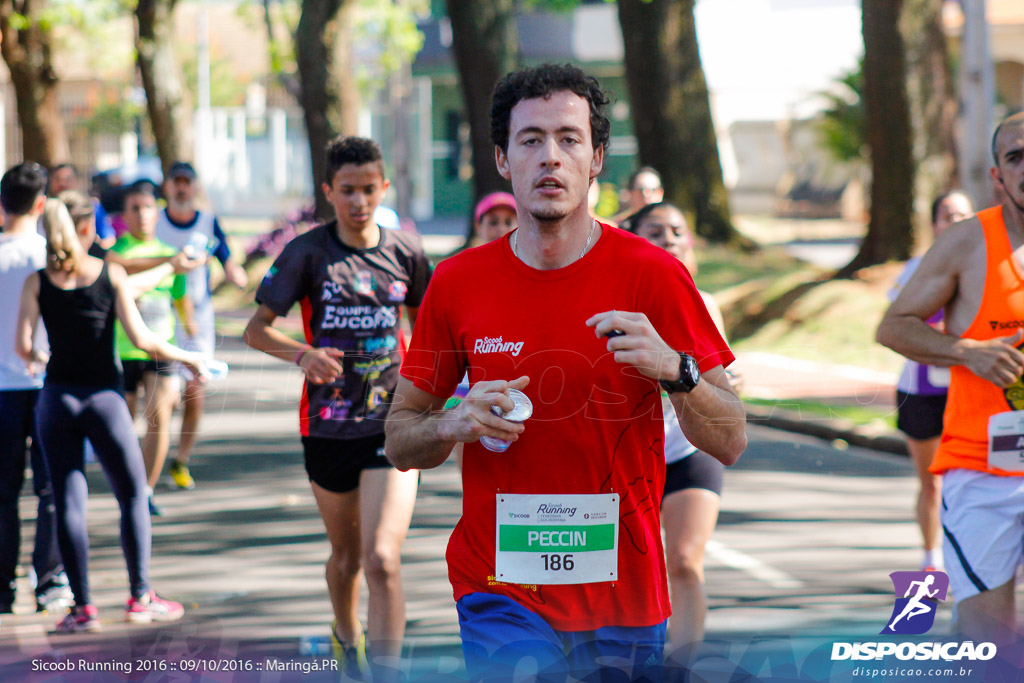 Sicoob Running: Prova Terezinha Guilhermina 2016