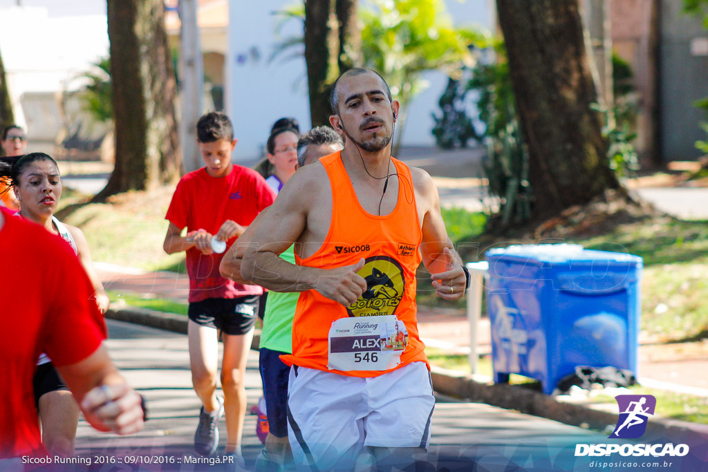 Sicoob Running: Prova Terezinha Guilhermina 2016