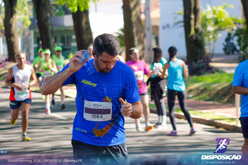 Sicoob Running: Prova Terezinha Guilhermina 2016