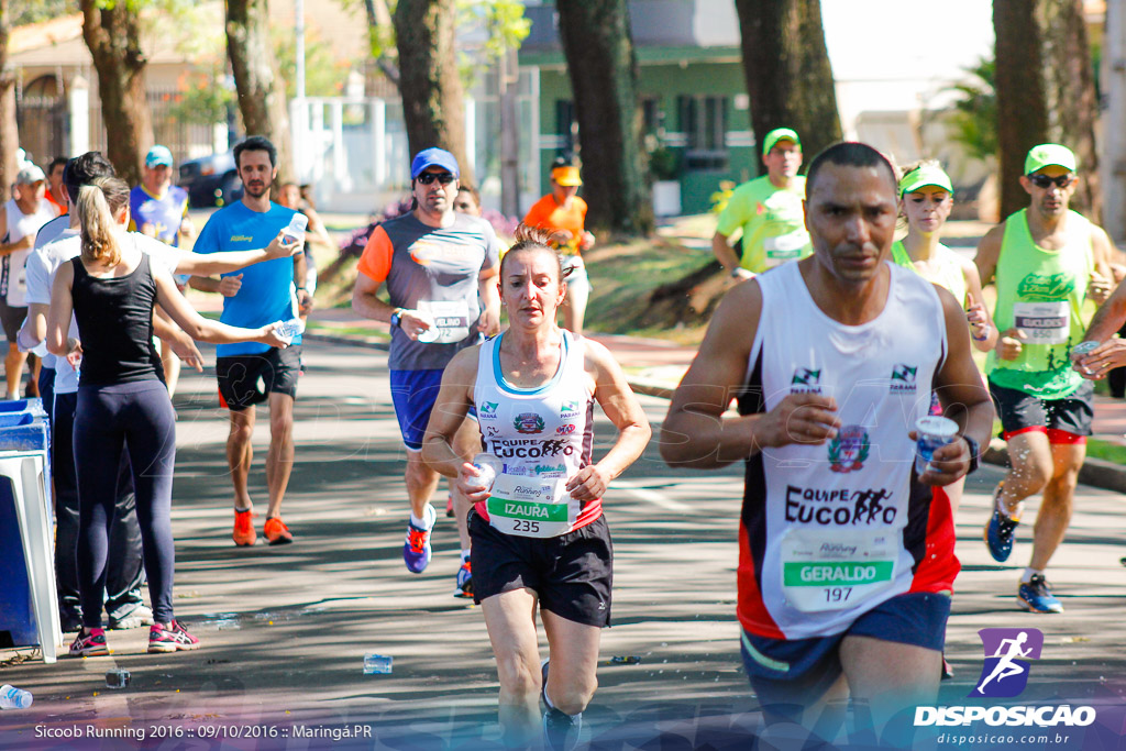 Sicoob Running: Prova Terezinha Guilhermina 2016