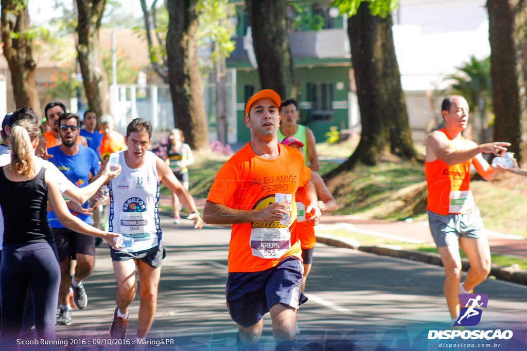 Sicoob Running: Prova Terezinha Guilhermina 2016