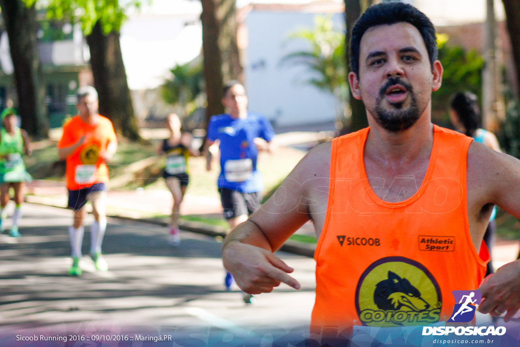 Sicoob Running: Prova Terezinha Guilhermina 2016