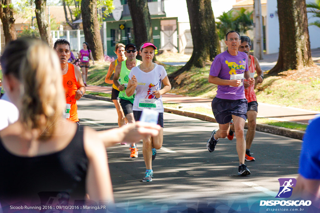 Sicoob Running: Prova Terezinha Guilhermina 2016