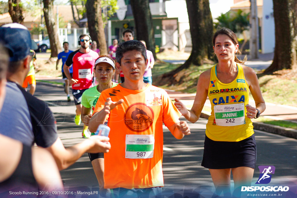 Sicoob Running: Prova Terezinha Guilhermina 2016