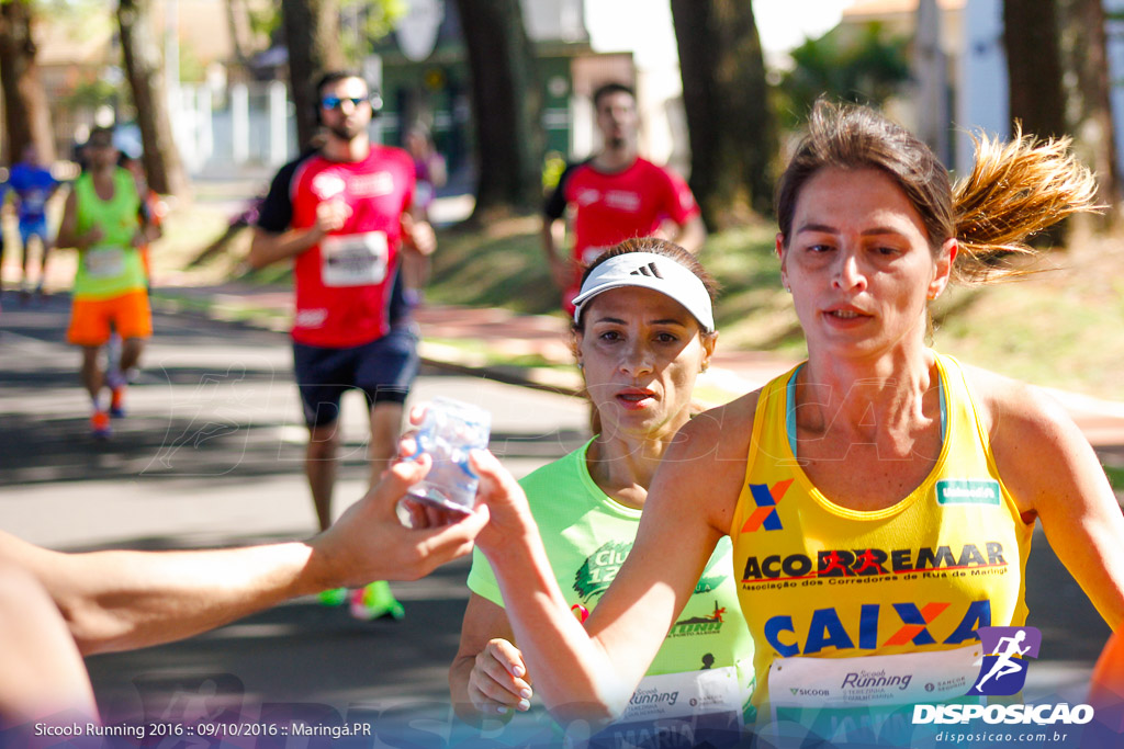 Sicoob Running: Prova Terezinha Guilhermina 2016