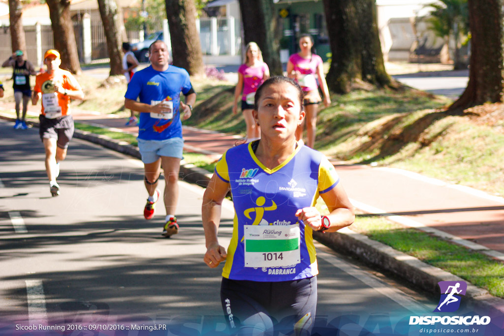 Sicoob Running: Prova Terezinha Guilhermina 2016