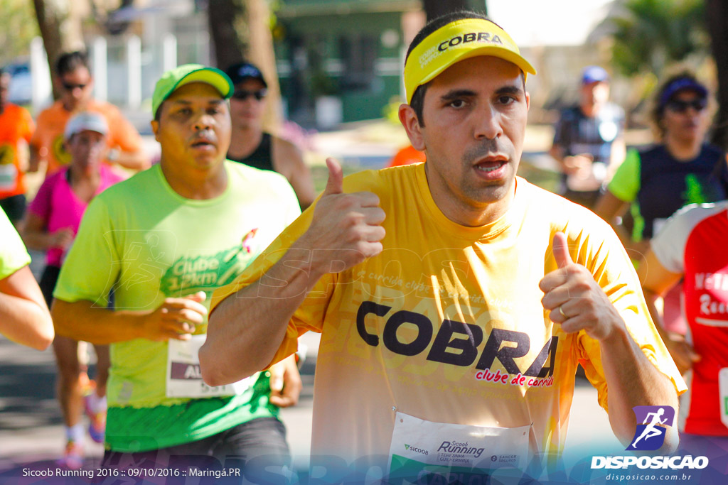 Sicoob Running: Prova Terezinha Guilhermina 2016