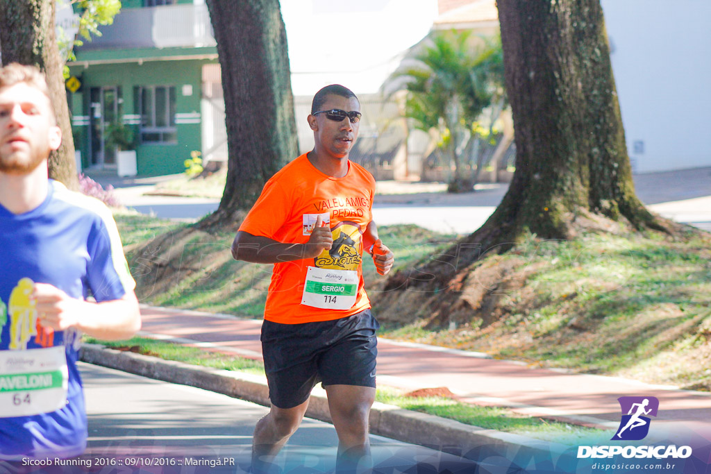 Sicoob Running: Prova Terezinha Guilhermina 2016