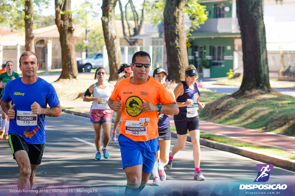 Sicoob Running: Prova Terezinha Guilhermina 2016