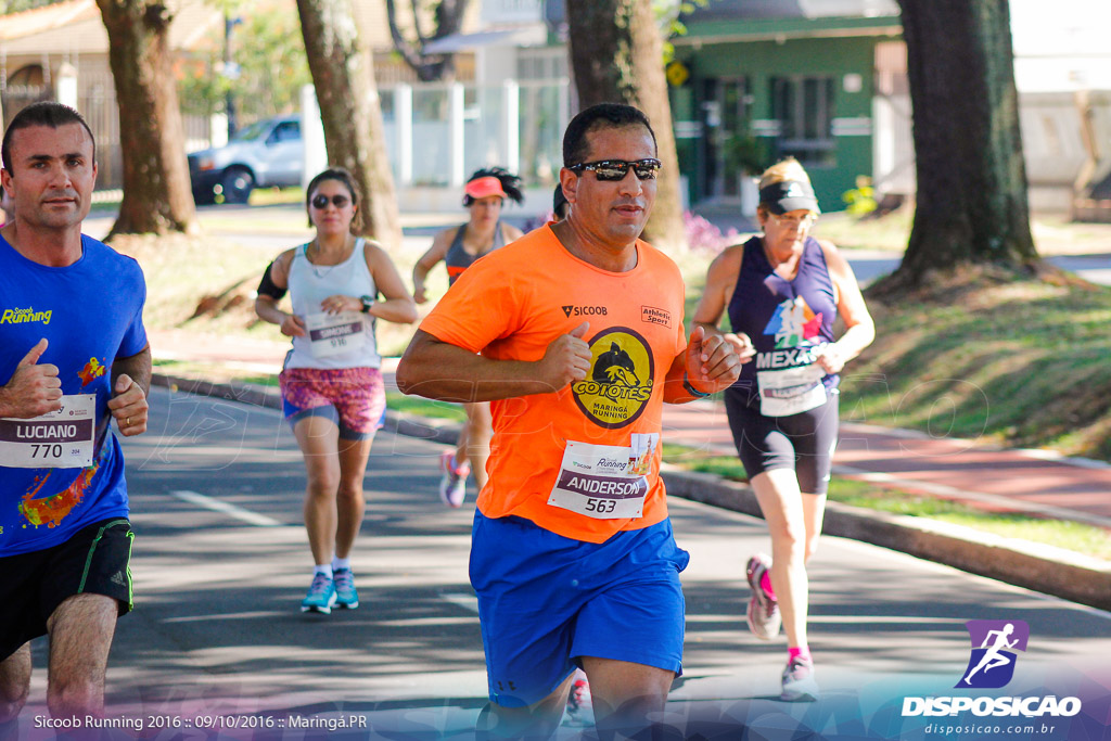 Sicoob Running: Prova Terezinha Guilhermina 2016