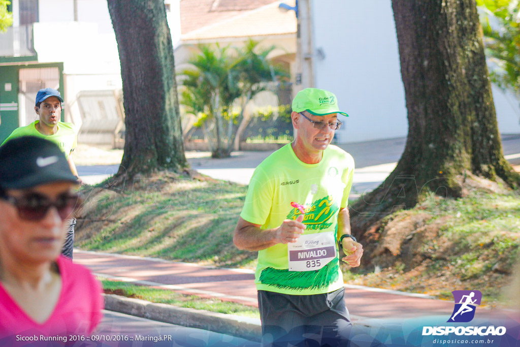 Sicoob Running: Prova Terezinha Guilhermina 2016