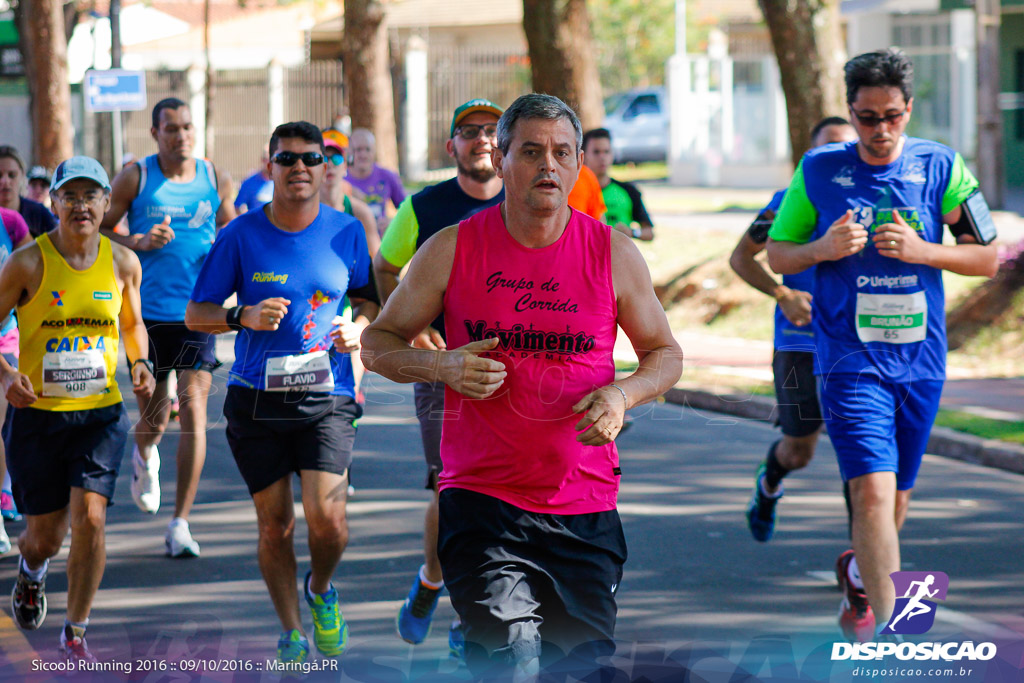 Sicoob Running: Prova Terezinha Guilhermina 2016