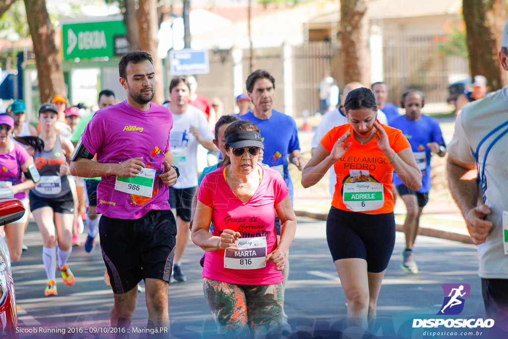 Sicoob Running: Prova Terezinha Guilhermina 2016