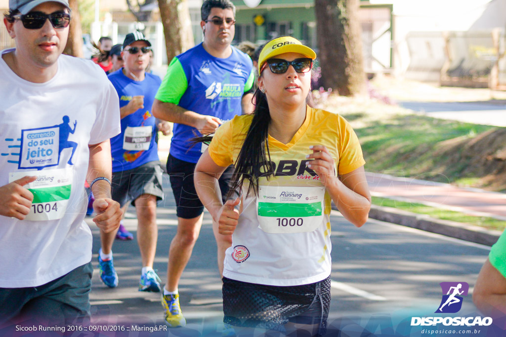 Sicoob Running: Prova Terezinha Guilhermina 2016