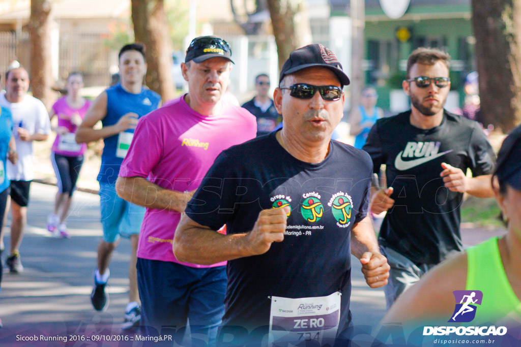 Sicoob Running: Prova Terezinha Guilhermina 2016