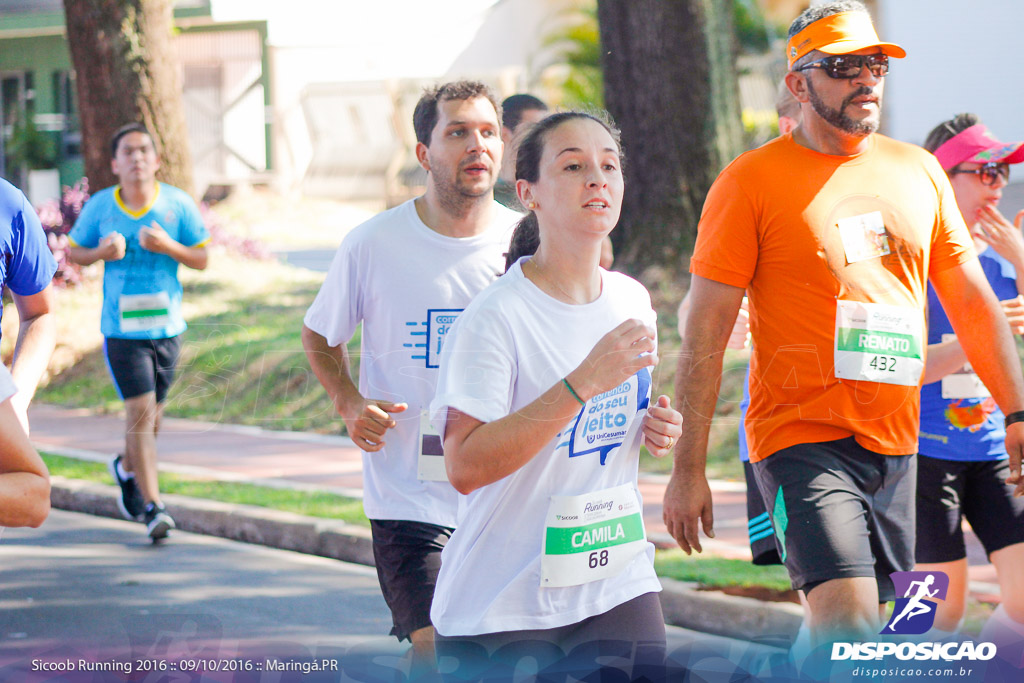 Sicoob Running: Prova Terezinha Guilhermina 2016