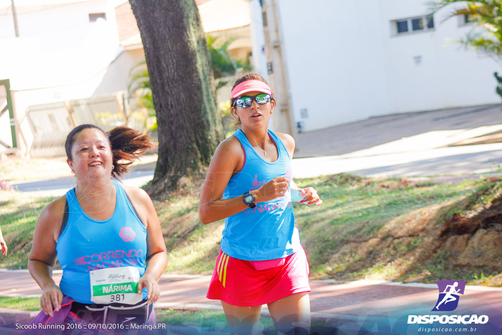 Sicoob Running: Prova Terezinha Guilhermina 2016