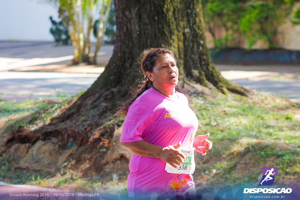 Sicoob Running: Prova Terezinha Guilhermina 2016