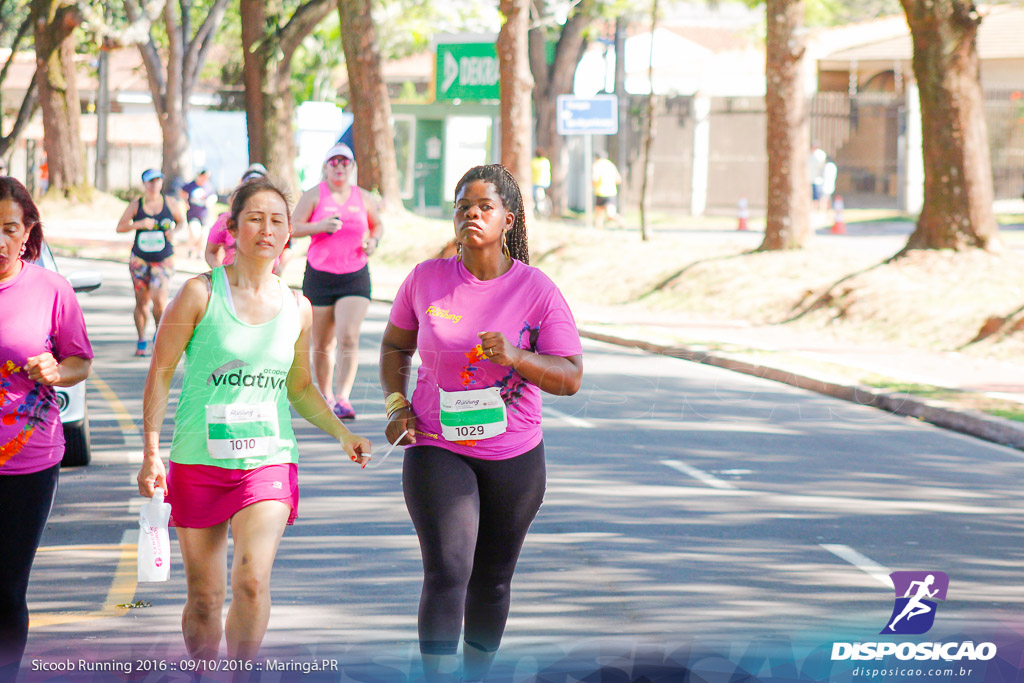 Sicoob Running: Prova Terezinha Guilhermina 2016