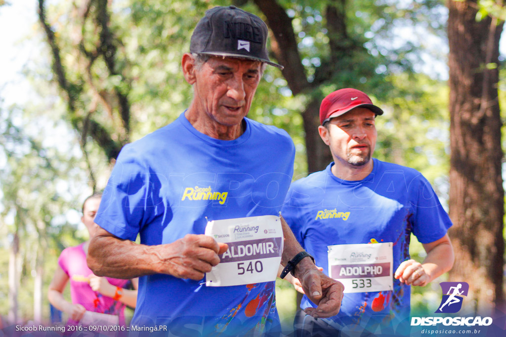 Sicoob Running: Prova Terezinha Guilhermina 2016