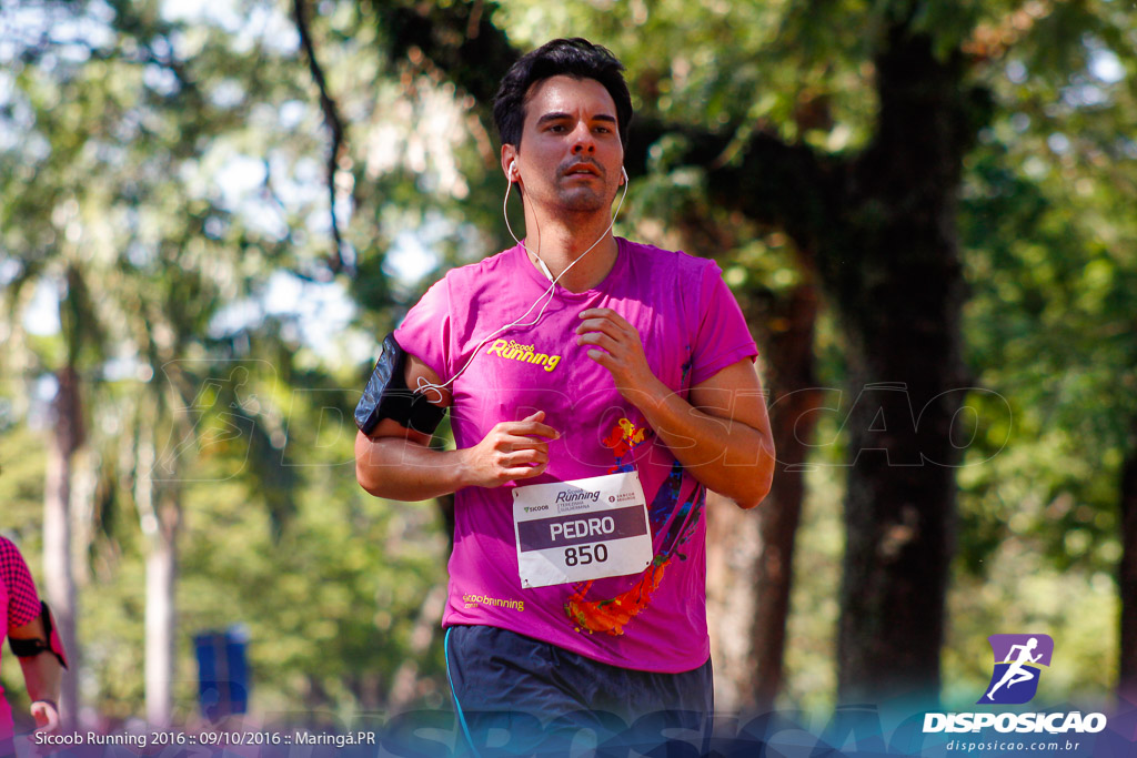 Sicoob Running: Prova Terezinha Guilhermina 2016