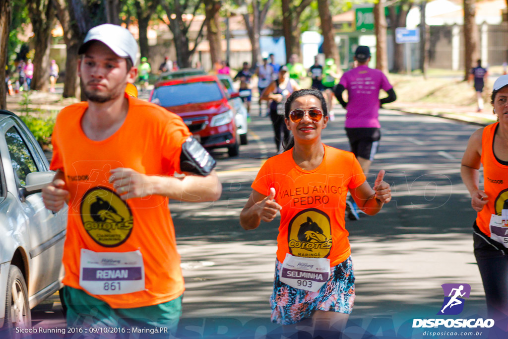 Sicoob Running: Prova Terezinha Guilhermina 2016