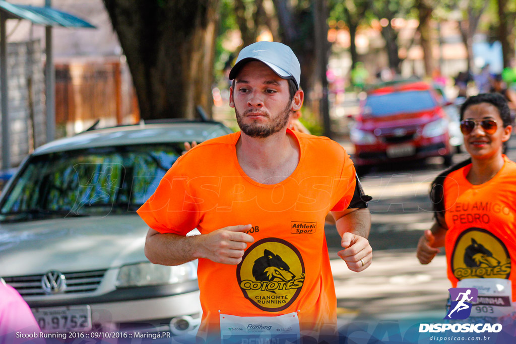 Sicoob Running: Prova Terezinha Guilhermina 2016