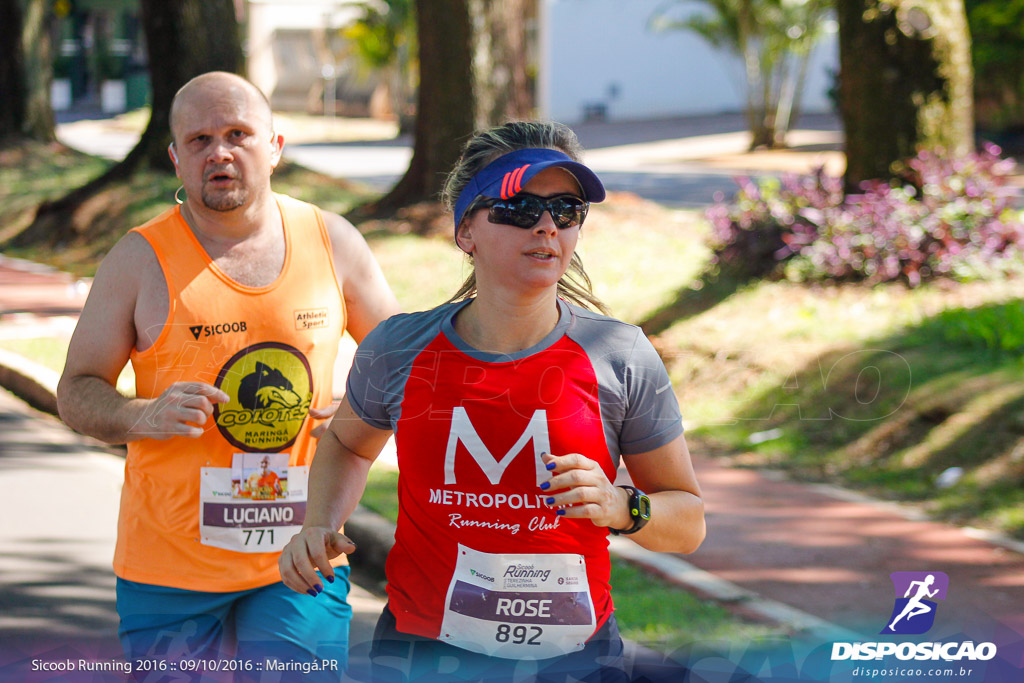 Sicoob Running: Prova Terezinha Guilhermina 2016