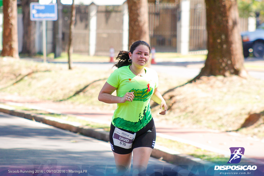 Sicoob Running: Prova Terezinha Guilhermina 2016