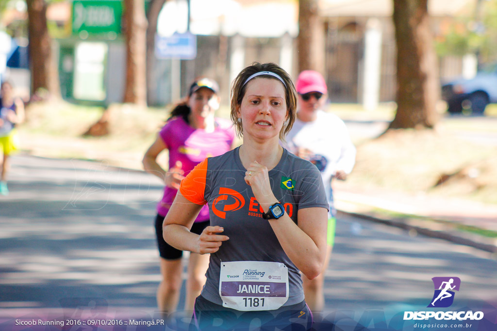 Sicoob Running: Prova Terezinha Guilhermina 2016