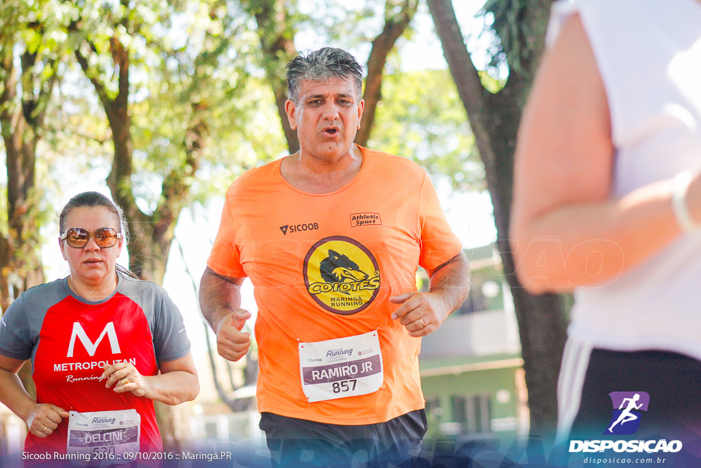 Sicoob Running: Prova Terezinha Guilhermina 2016