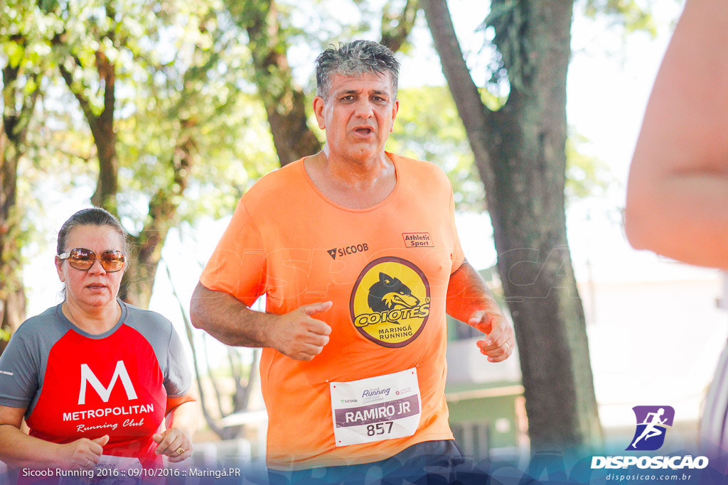 Sicoob Running: Prova Terezinha Guilhermina 2016