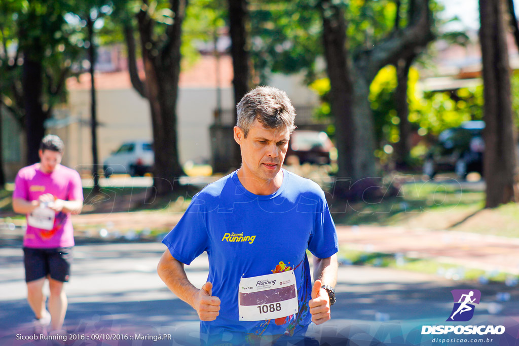 Sicoob Running: Prova Terezinha Guilhermina 2016