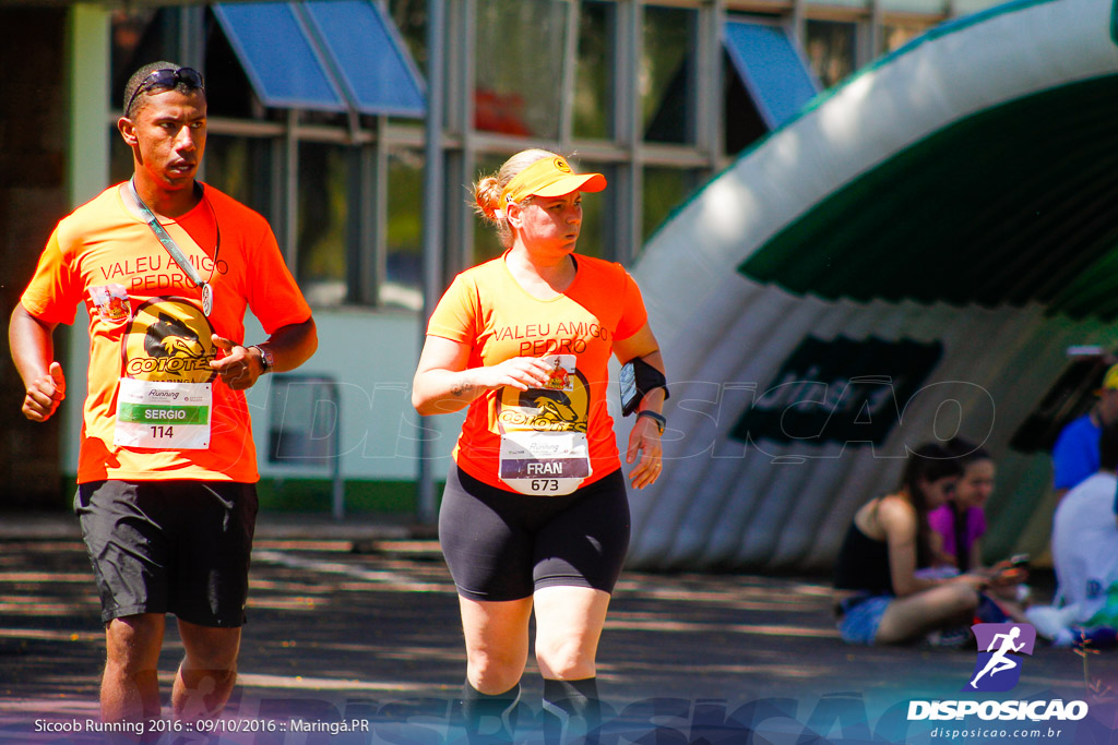 Sicoob Running: Prova Terezinha Guilhermina 2016