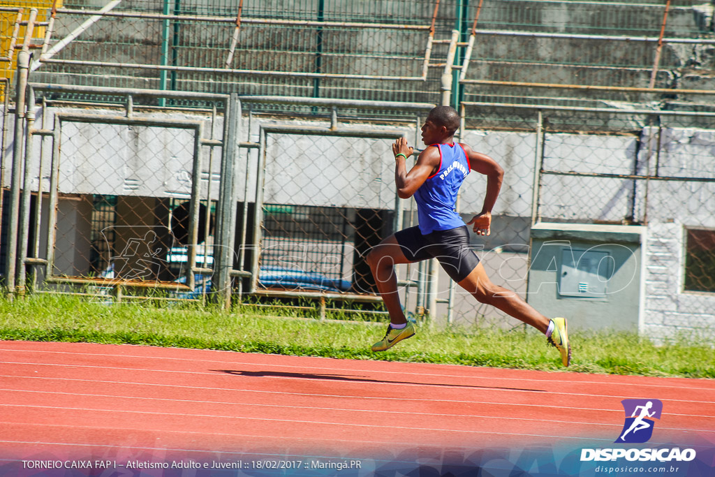 1º Torneio Federação de Atletismo do Paraná 2017 (FAP)