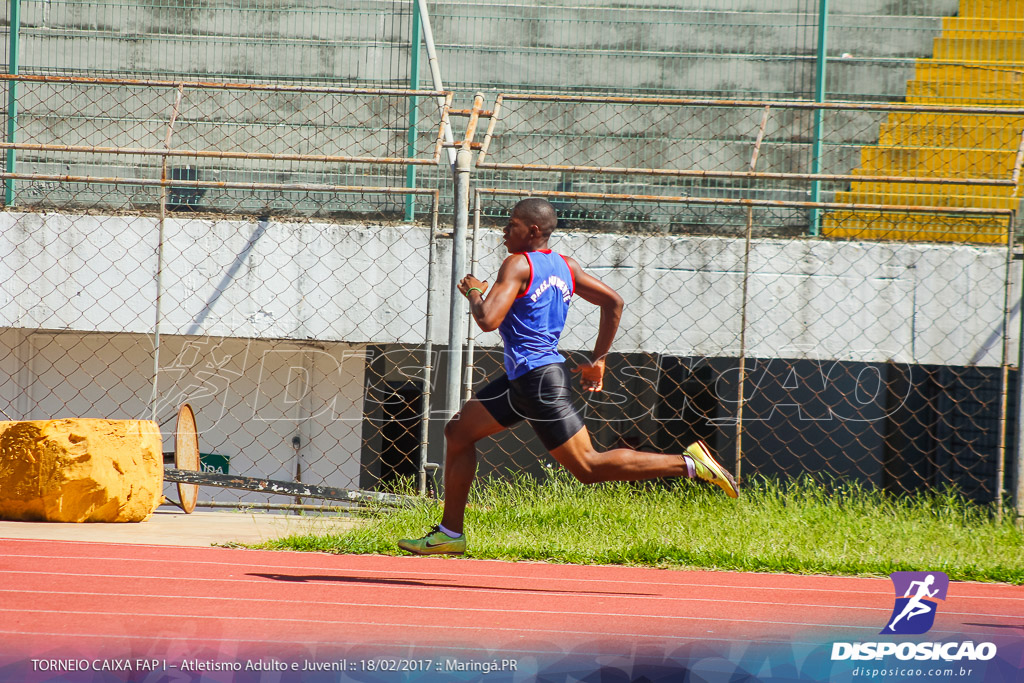 1º Torneio Federação de Atletismo do Paraná 2017 (FAP)