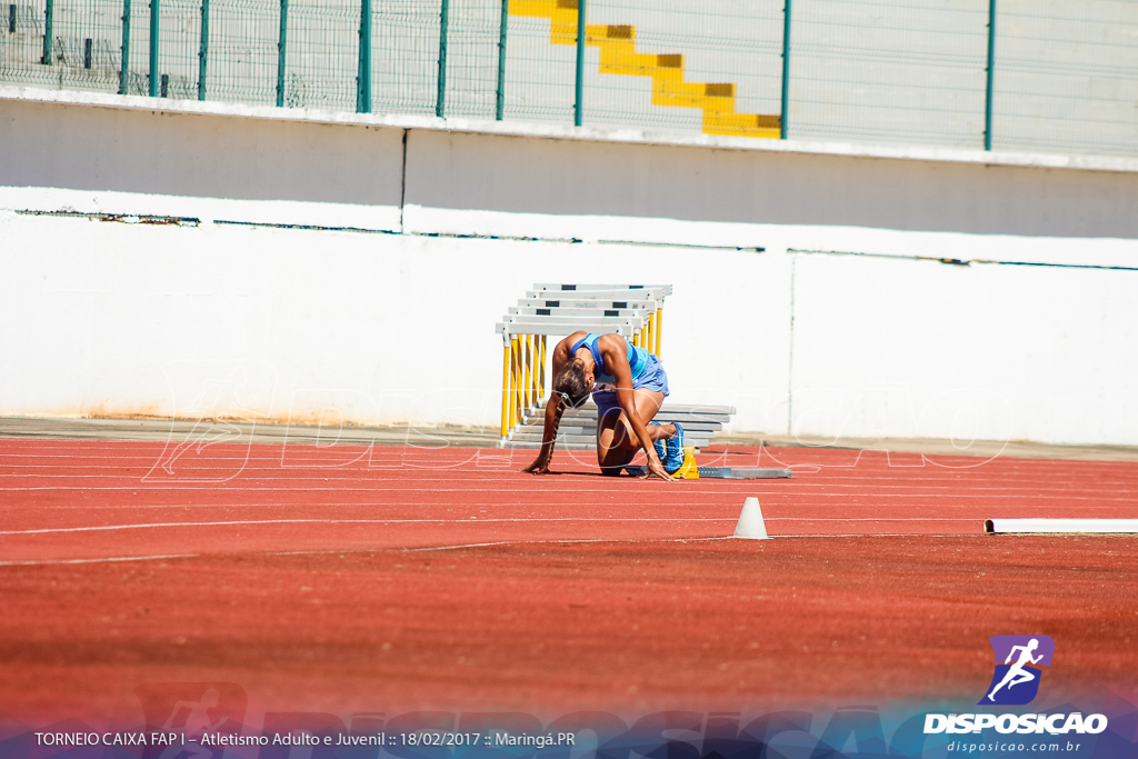 1º Torneio Federação de Atletismo do Paraná 2017 (FAP)