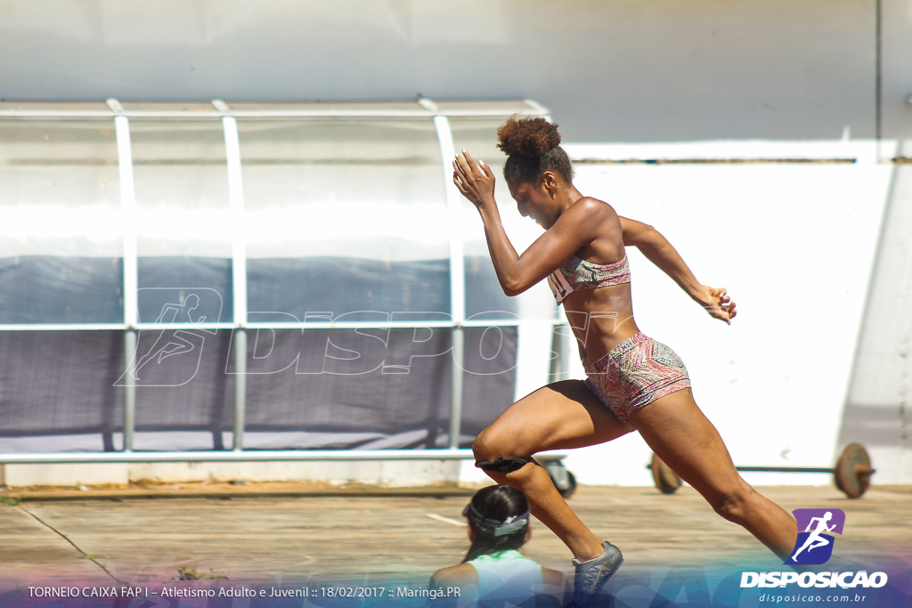 1º Torneio Federação de Atletismo do Paraná 2017 (FAP)