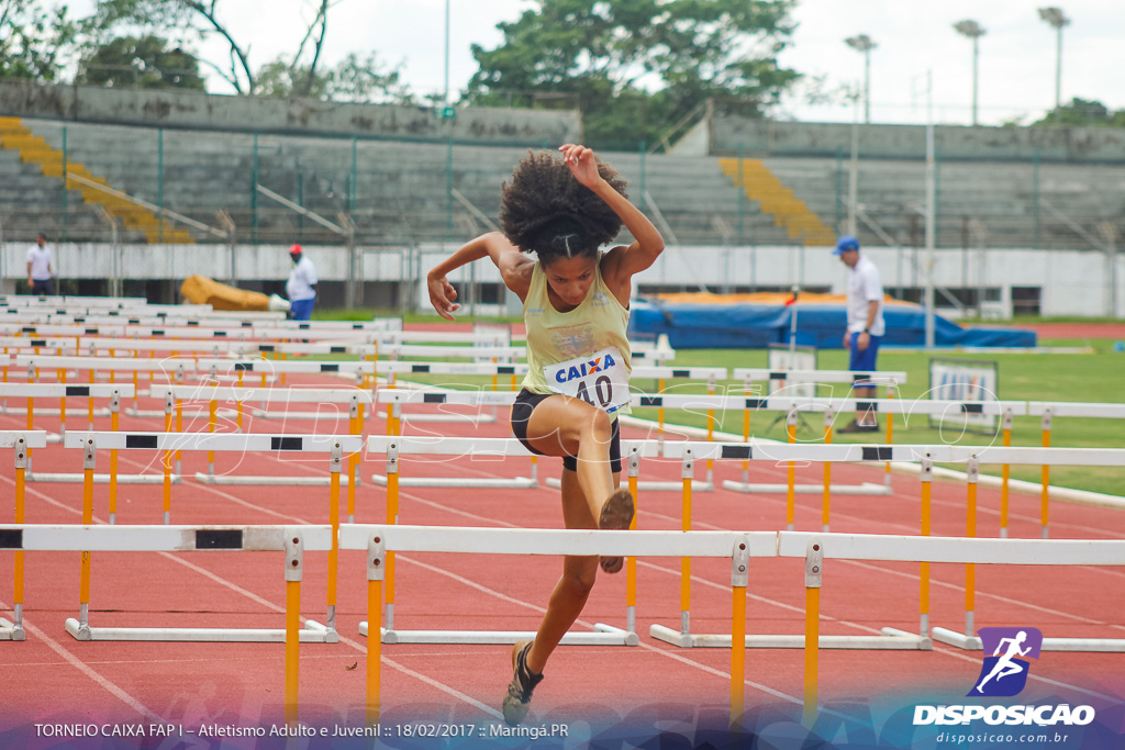 1º Torneio Federação de Atletismo do Paraná 2017 (FAP)