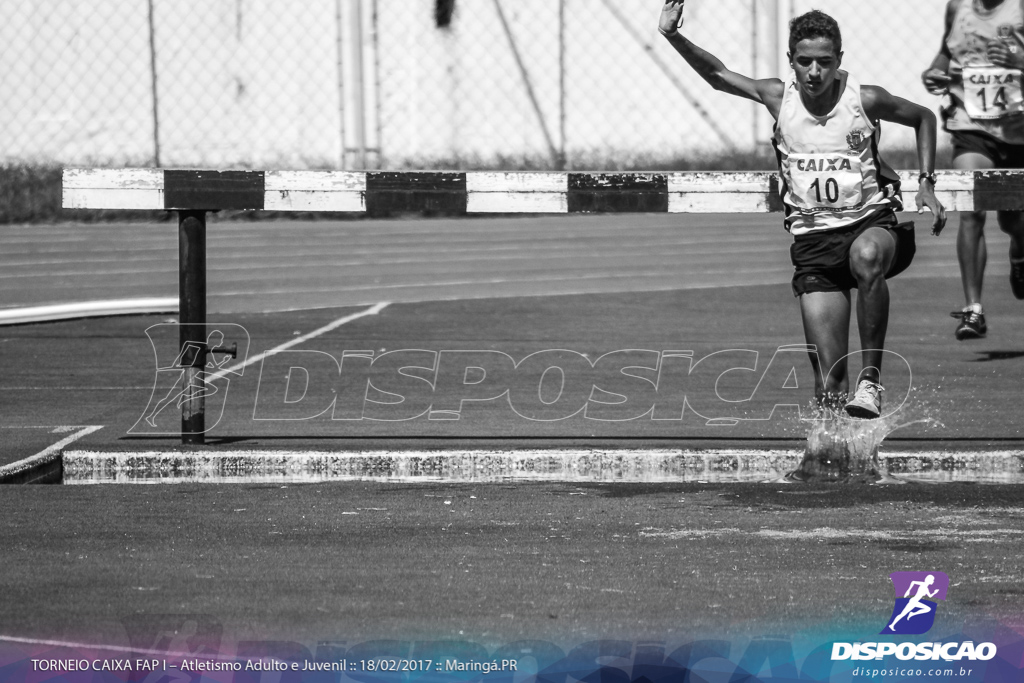 1º Torneio Federação de Atletismo do Paraná 2017 (FAP)