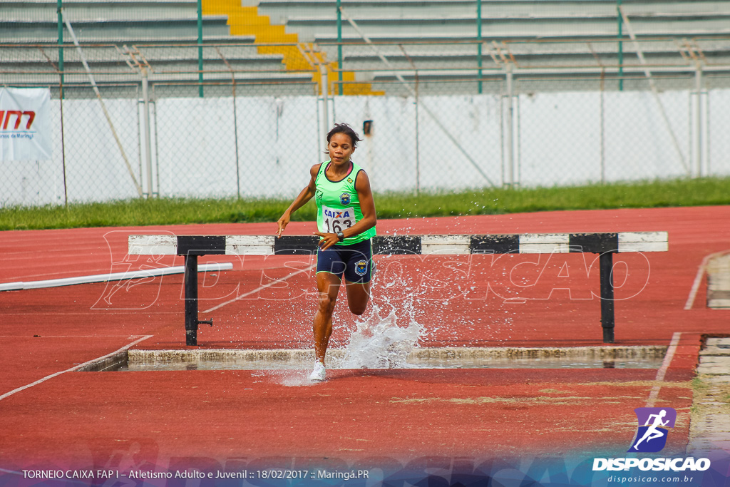 1º Torneio Federação de Atletismo do Paraná 2017 (FAP)