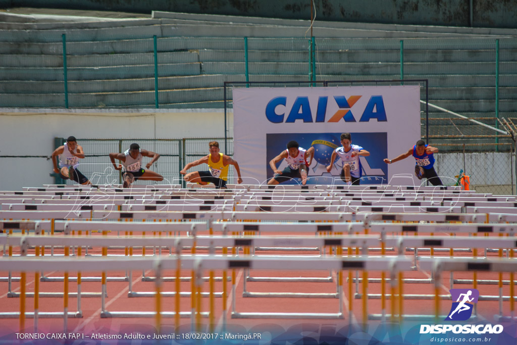 1º Torneio Federação de Atletismo do Paraná 2017 (FAP)